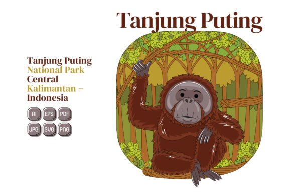 Exploring the Unique Features of Tanjung Puting National Park Vector Art